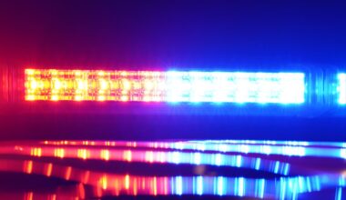 NYC nutjob hit with animal cruelty charges for ‘stretching’ ex-girlfriend’s cat to death: DA