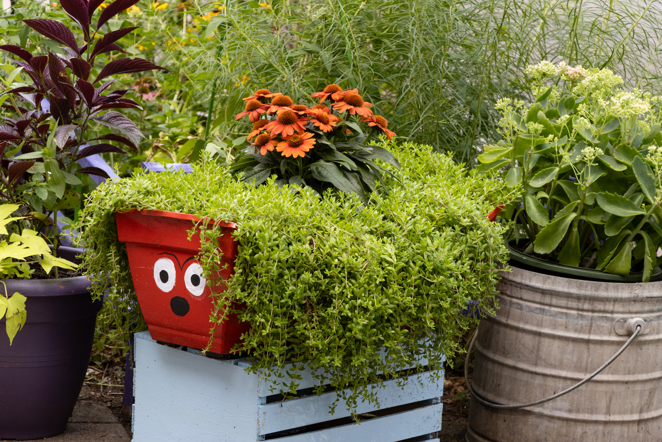 a planter with eyes painted on the side