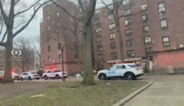 News 12 | Brooklyn | 16-year-old boy critically injured in shooting inside Sheepshead Bay Houses