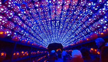 New York Events | Shows, Festivals, Sports, Art