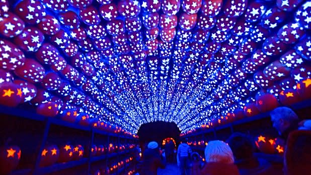 New York Events | Shows, Festivals, Sports, Art