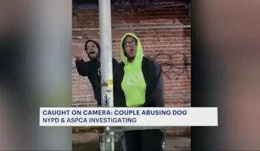 News 12 | Brooklyn | Caught on Camera: NYPD investigates allegations of couple abusing dog in East Williamsburg