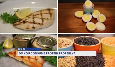 News 12 | Brooklyn | Experts: Protein should be eaten during every meal