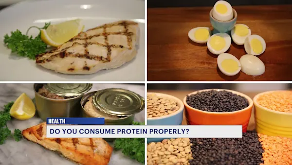 News 12 | Brooklyn | Experts: Protein should be eaten during every meal