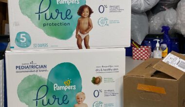 New York State Should More Than Double Its Funding for Diaper Banks