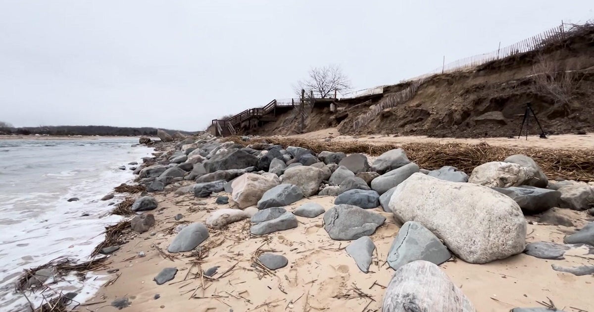 Long Island's North Shore has signs of beach erosion. An expert says "the problem is irreversible."