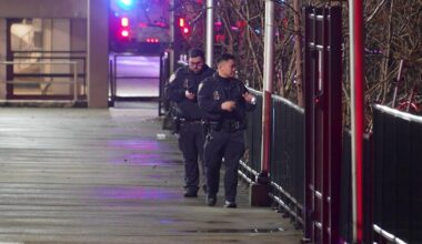 Suspect jumps into water to evade cops in Mill Basin, Brooklyn