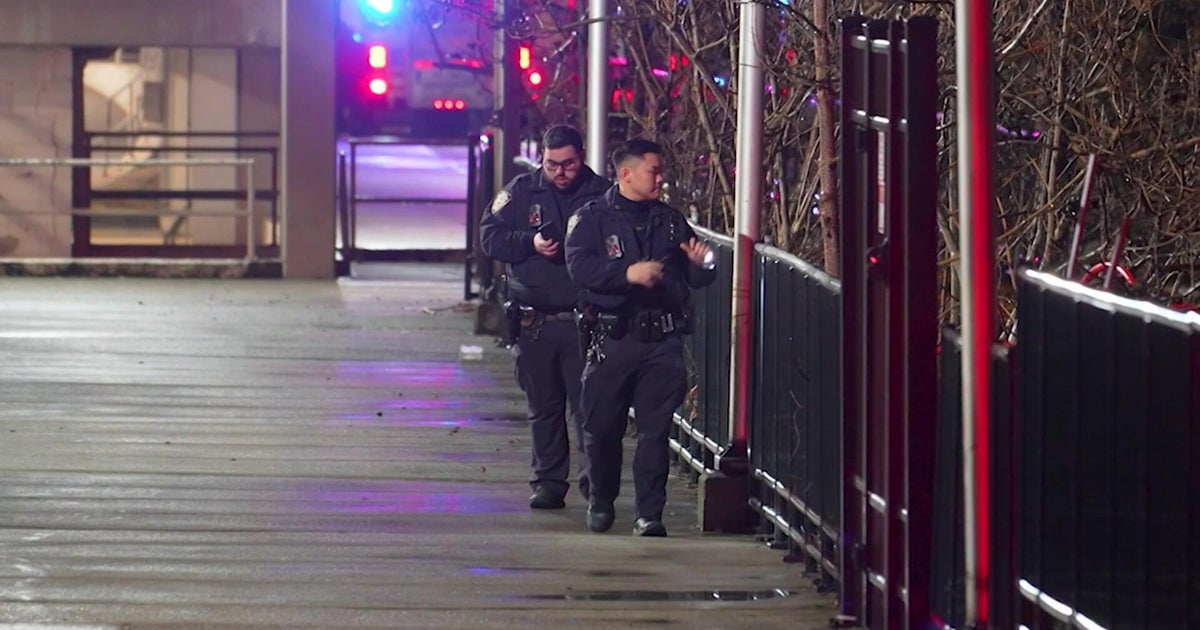 Suspect jumps into water to evade cops in Mill Basin, Brooklyn