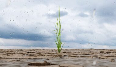 Manhattan’s Long Investment Sales Drought — And Why a Surge May Be Coming – Commercial Observer