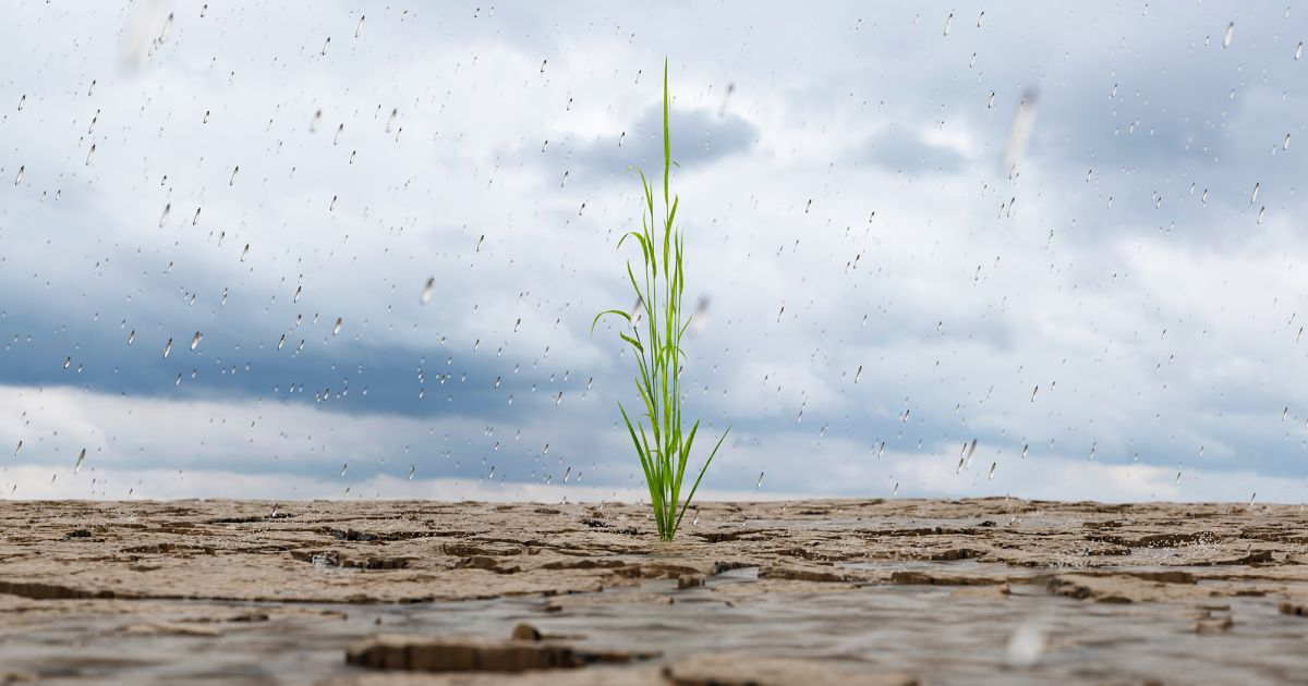 Manhattan’s Long Investment Sales Drought — And Why a Surge May Be Coming – Commercial Observer