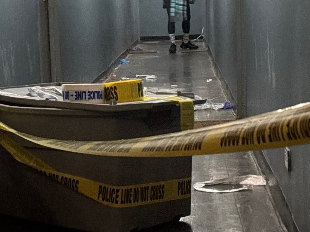 Oumou Bah, 43, allegedly stabbed her 74-year-old roommate Hadiatou Bah to death inside the Ebbets Field Apartments on Bedford Avenue late Saturday, police said. Kyle Mazza