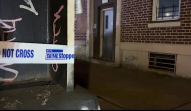 News 12 | Brooklyn | Man shot multiple times in Cypress Hills; police say he’s stable