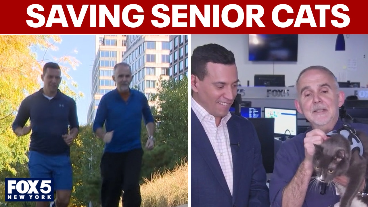 Meet the man who runs marathons for foster cats