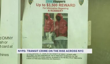 News 12 | Brooklyn | 'It's pretty scary.' NYPD says transit crime increased in February across NYC
