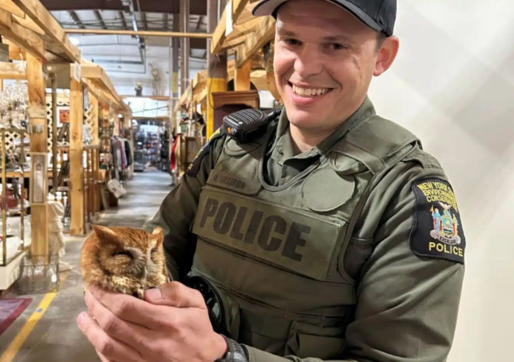 ECO Milliron holding a sleepy owl found in an antique shop.