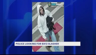 News 12 | The Bronx