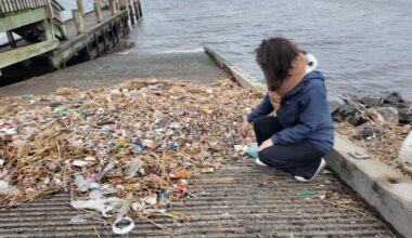 Environmentalists sue NYC over plans to chlorinate Flushing Creek in Queens