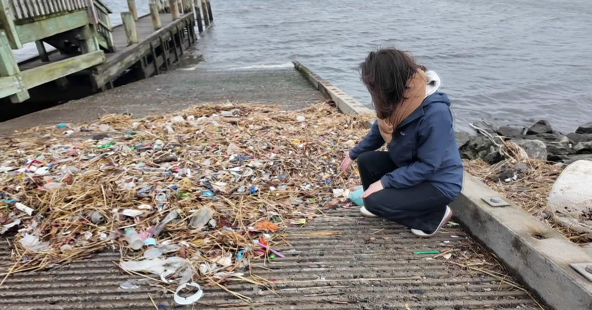 Environmentalists sue NYC over plans to chlorinate Flushing Creek in Queens