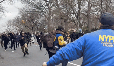 New video shows NYC terror suspect tackled after allegedly throwing bomb at protest