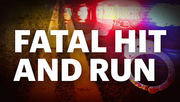 News 12 | Brooklyn | Pedestrian killed in Brownsville double hit-and-run