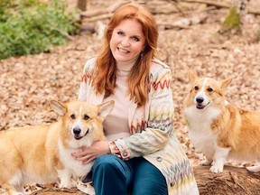 Sarah Ferguson posing with the late Queen Elizabeth's corgis, Muick and Sandy.