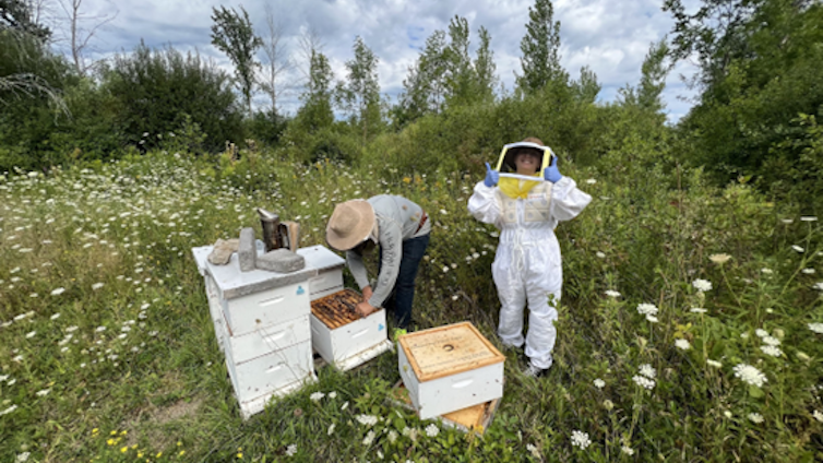 Brendan Daisley bending over opened honeybee hive, Liz Mallory standing beside in full beekeeping suit with thumbs up