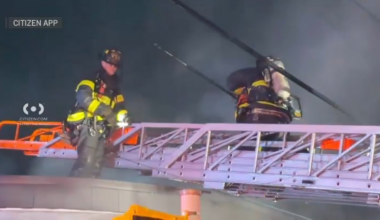 Bronx fire today destroys businesses in Williamsbridge – NBC New York