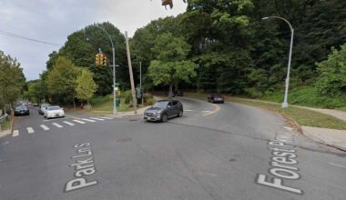 CM Ariola secures funding to repave Forest Park Drive – QNS