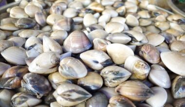 Seafood Sold In NY May Be Contaminated With Norovirus