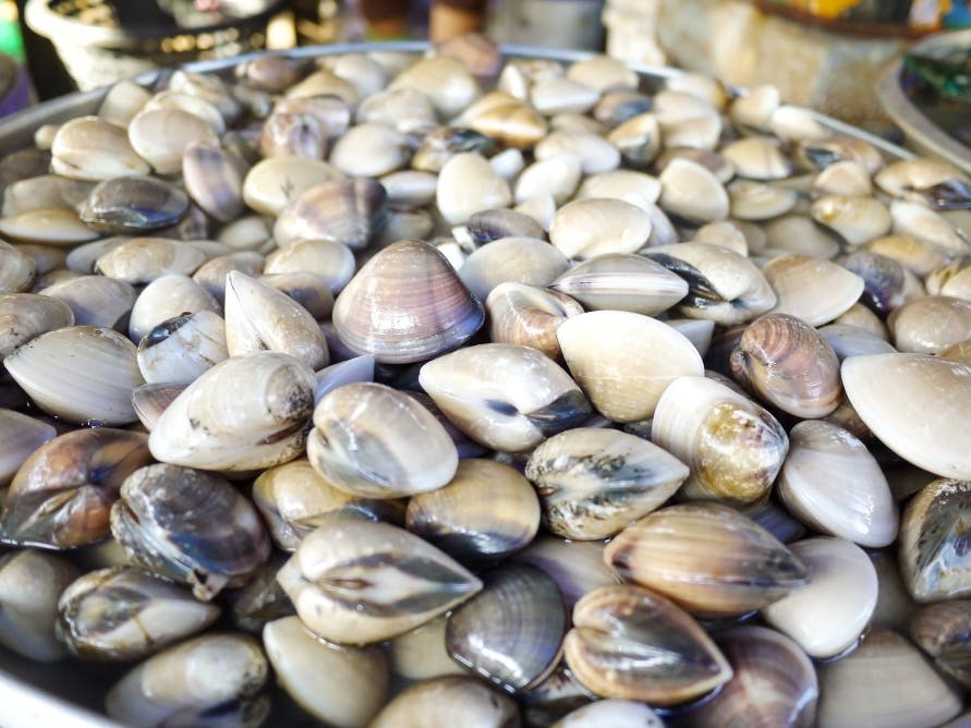 Seafood Sold In NY May Be Contaminated With Norovirus