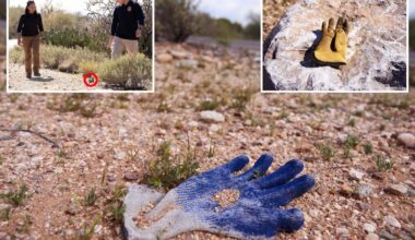 Glove found in Nancy Guthrie case solved as DNA finally matched