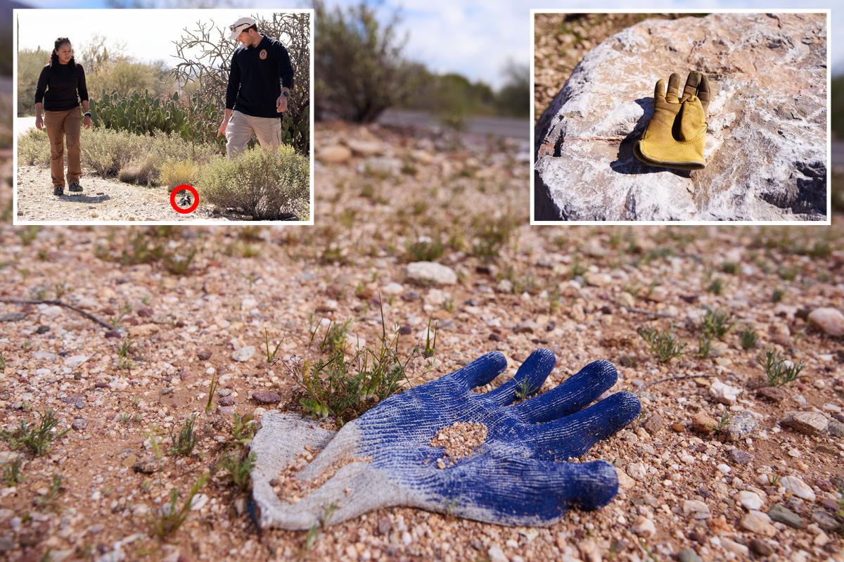 Glove found in Nancy Guthrie case solved as DNA finally matched