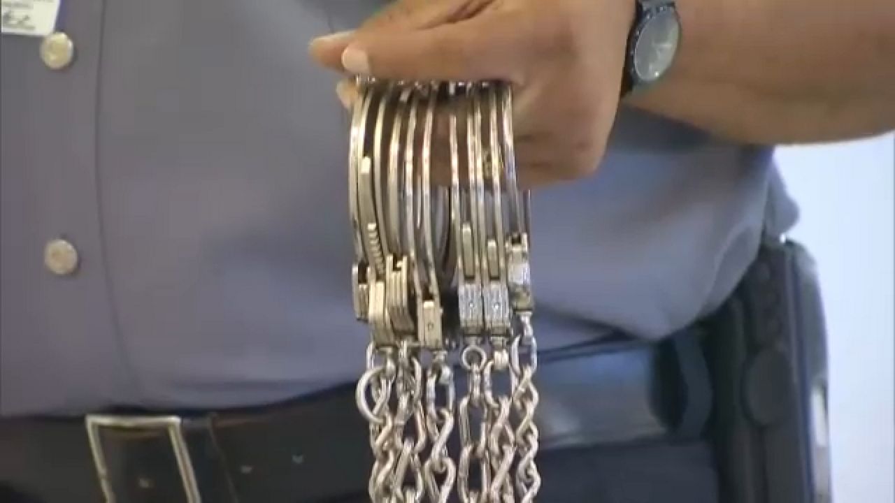 Nonprofit news groups sue DOCCS over sexual assault records