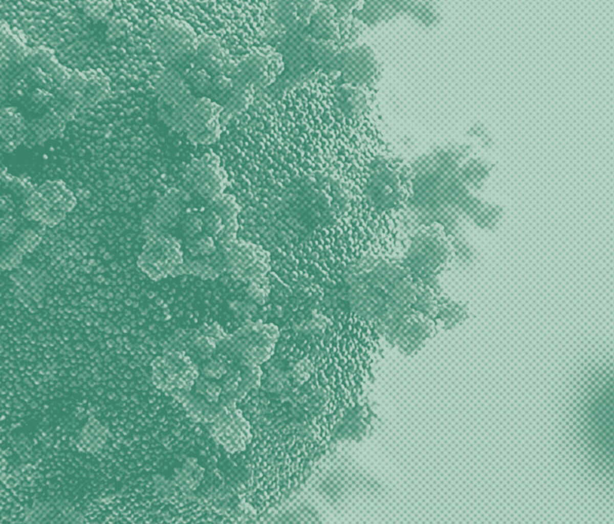 New COVID Variant 'Cicada' Detected in NYC Wastewater