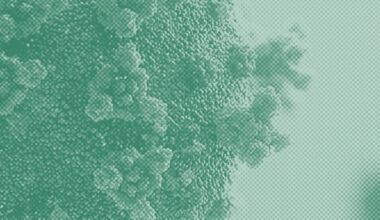 New COVID Variant 'Cicada' Detected in NYC Wastewater