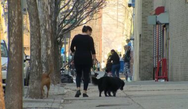 Hoboken mayor urges residents to pick up after their dogs – NBC New York