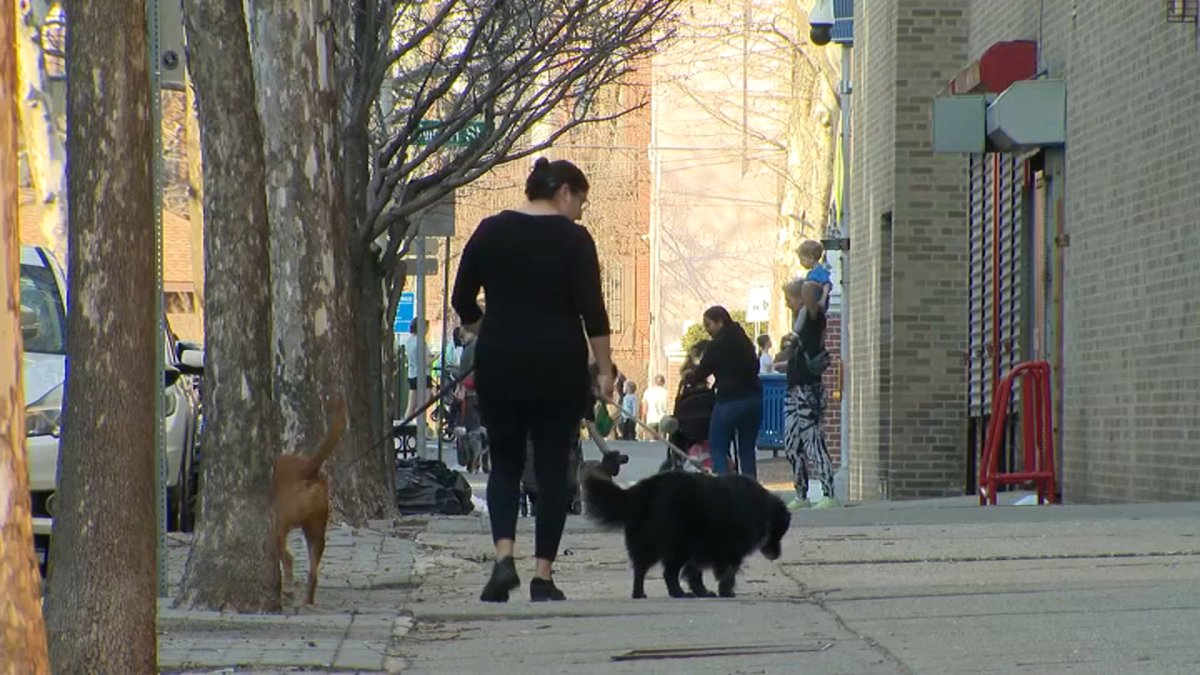 Hoboken mayor urges residents to pick up after their dogs – NBC New York