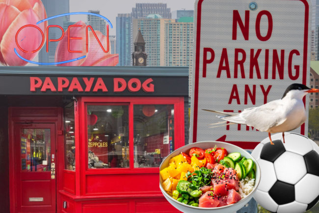 hoboken jersey city news march 22nd