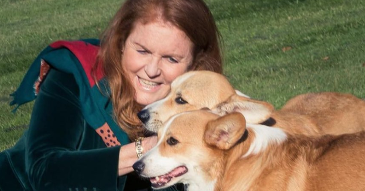 Sarah Ferguson denies claims she was planning to clone the late Queen's corgis and sell them on TV