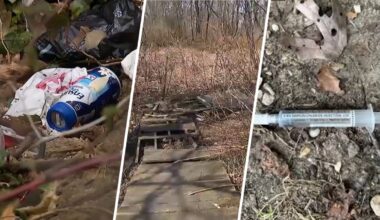 Long Islanders ask Nassau County to help clean Brookside Preserve – NBC New York