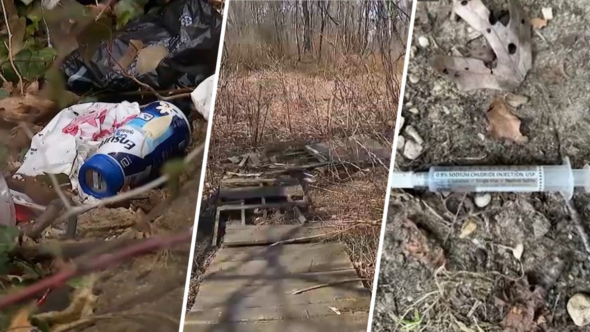 Long Islanders ask Nassau County to help clean Brookside Preserve – NBC New York