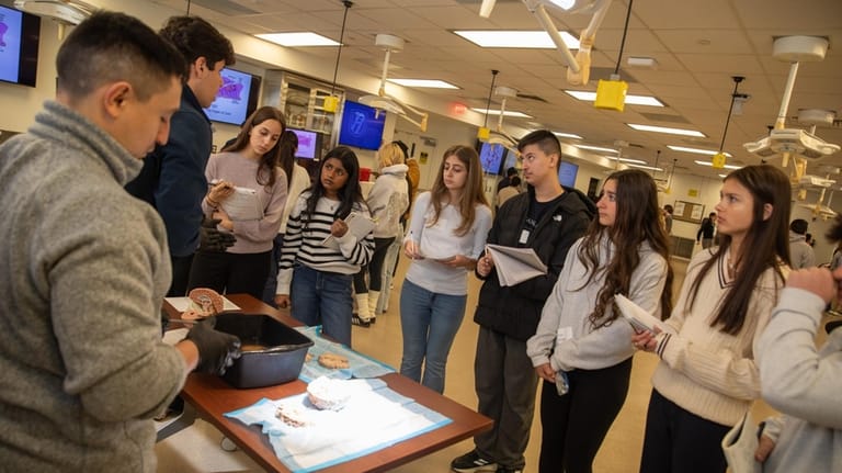 Student contestants watch a human brain lab demonstration during the competition,...