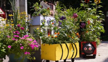 Do You Live on Brooklyn's Greenest Block?