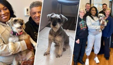 NJ police reunite missing Texas dog with owners – NBC New York