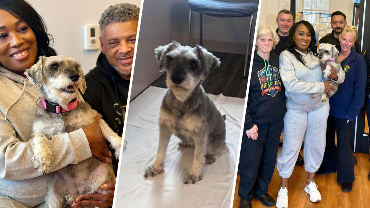 NJ police reunite missing Texas dog with owners – NBC New York