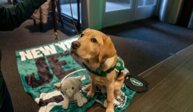 New York Jets News: Jets could benefit from league-wide interest in Jeremiyah Love