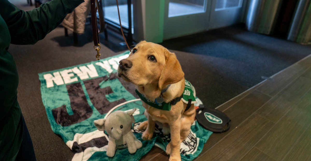 New York Jets News: Jets could benefit from league-wide interest in Jeremiyah Love