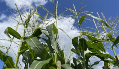 State Agriculture Department Announces $1.7 Million Available to Support Beginning Farmers