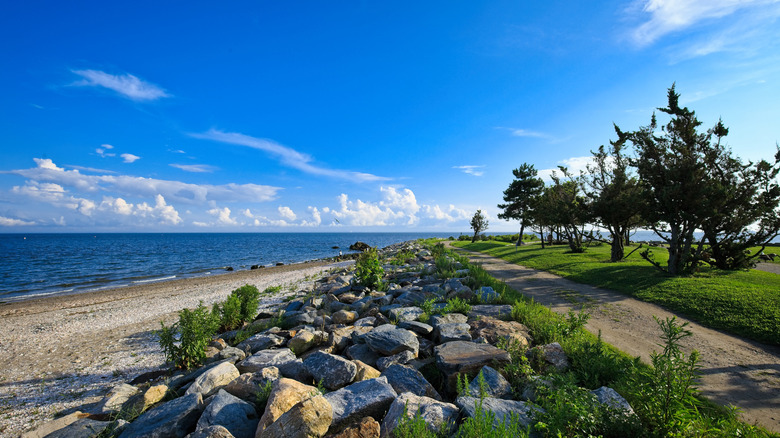 View of a coastal path along the Long Island Sound at Sherwood Island State Park