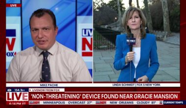 Police say 'non-threatening' device found in NYC park